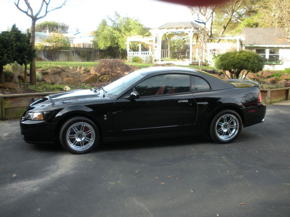 2003 Ford Mustang “10 th Cobra”