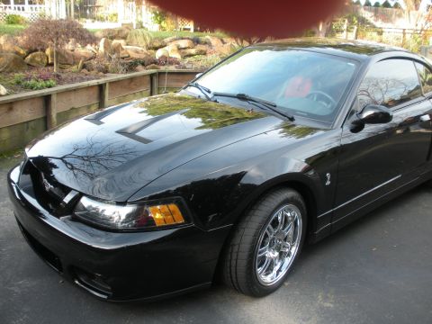 2003 Ford Mustang - This black 2003 Ford Mustang Cobra features distinctive hood scoops and chrome wheels, presented in a three-quarter front view.