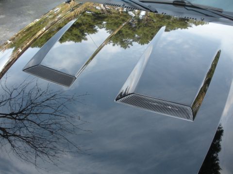 2003 Ford Mustang - A black car hood displays two aggressive, angled vents with gridded inserts, reflecting the surrounding environment.