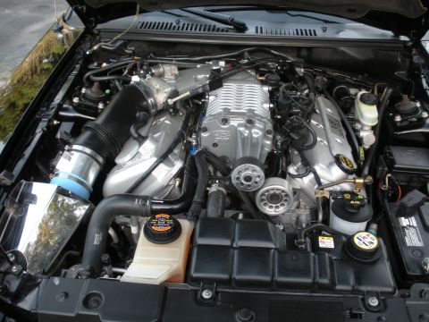 2003 Ford Mustang photo