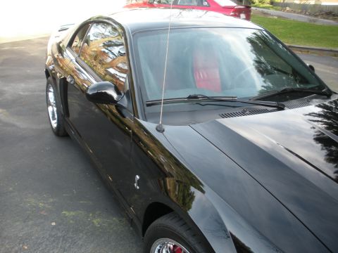 2003 Ford Mustang photo