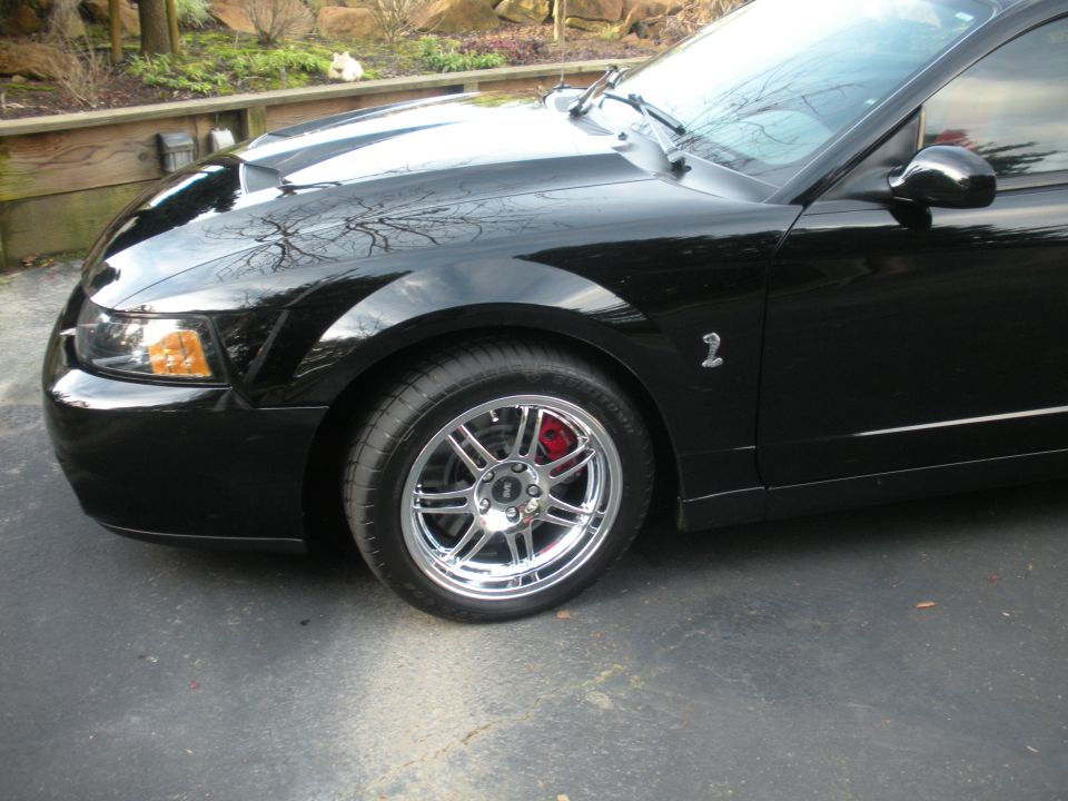 Black 2003 Ford Mustang front quarter panel and wheel. Red brake caliper visible