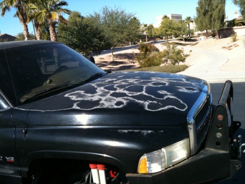 1966 Ford Bronco - A black pickup truck shows significant paint damage on its hood under a bright sky.