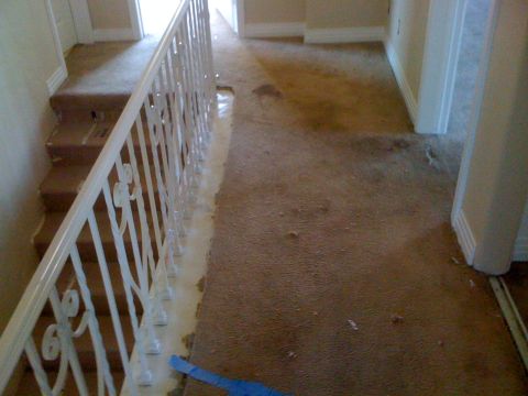 1968 Ford Mustang - A view down a hallway showing carpeted stairs and a white railing, with worn carpet on the floor.