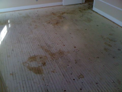 1968 Ford Mustang - The unfinished wooden floor has numerous stains and dirt marks.