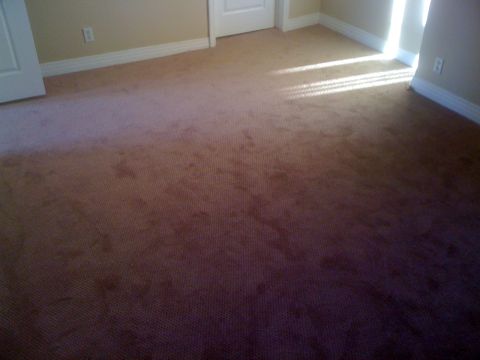 1968 Ford Mustang - Sunlight casts parallel lines across the carpeted floor of an empty room with two doors.