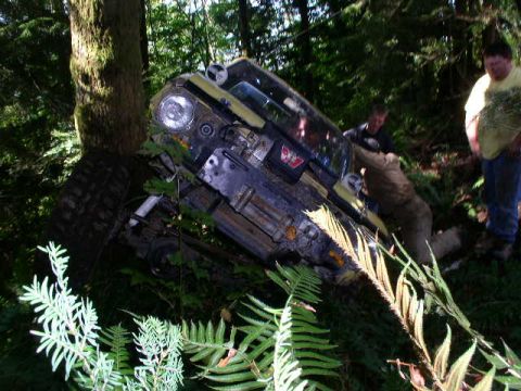 1979 Ford Bronco - A yellow 1978 Ford Bronco is wedged between trees after going off-road.