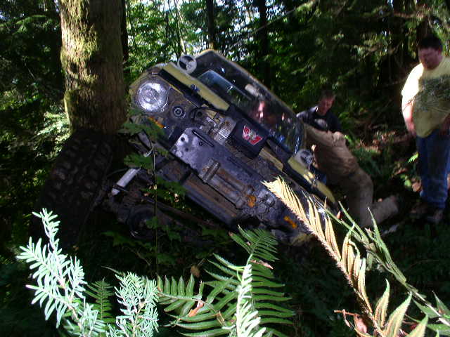 Yellow 1978 Ford Bronco tilted on its side, stuck between trees with two men nearby
