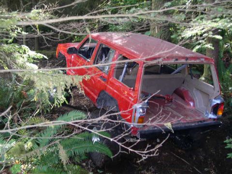 1979 Ford Bronco - A red SUV is partially obscured by branches and foliage, seen from the rear as it navigates off-road terrain.