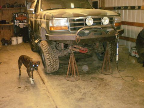 1995 Ford Bronco - A dog walks past a Ford truck that is raised on jack stands inside a garage.