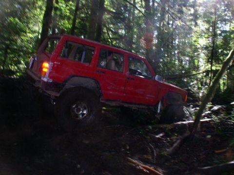 1979 Ford Bronco - Red Jeep Cherokee XJ navigates a challenging off-road path through a dense forest.