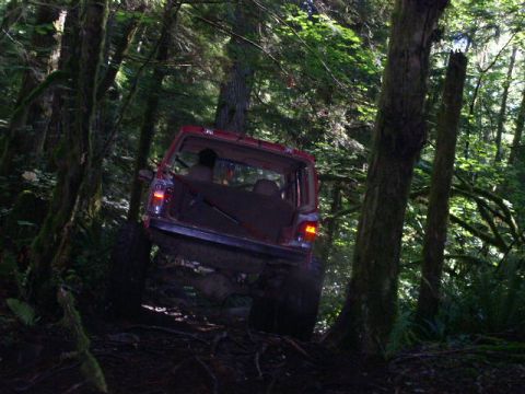 1979 Ford Bronco - A red SUV navigates a muddy path through a sun-dappled forest with lush green foliage.