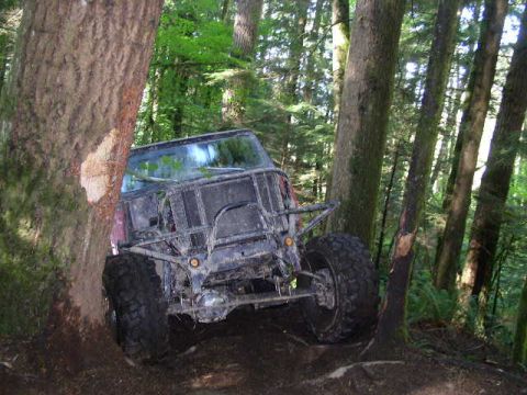 1979 Ford Bronco - Off-road vehicle stuck between trees on a forest trail.