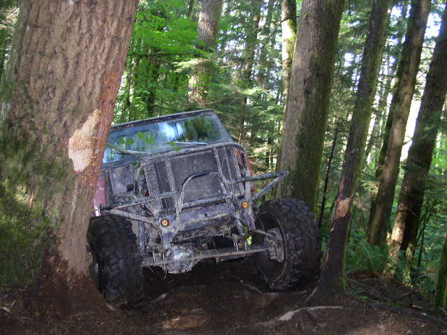 Off-road vehicle with large tires wedged between two trees on a dirt path