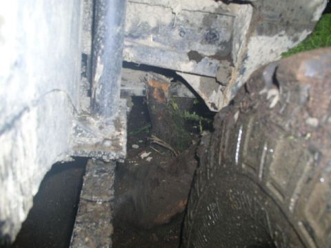 1979 Ford Bronco - This image shows a close-up view of a vehicle's wheel well and frame, with a log stuck beneath it.