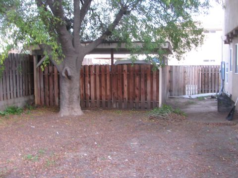 1968 Ford Mustang - A backyard scene a mature tree, a wooden fence, and a covered area.