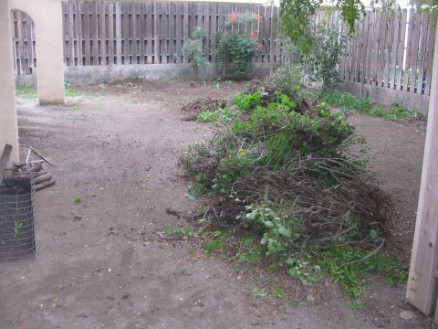 1968 Ford Mustang - Yard waste piled up in a backyard next to a wooden fence and a concrete wall.