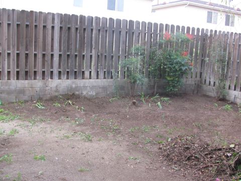 1968 Ford Mustang - A backyard area with a wooden fence and a cinder block wall, some sparse vegetation and dirt ground.