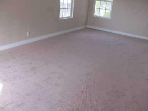1968 Ford Mustang - This image depicts an empty room with carpet and two windows, not a 1968 Ford Mustang.