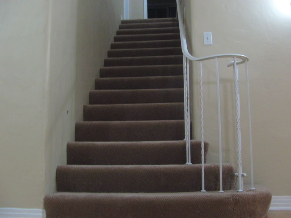 Carpeted staircase with white railing