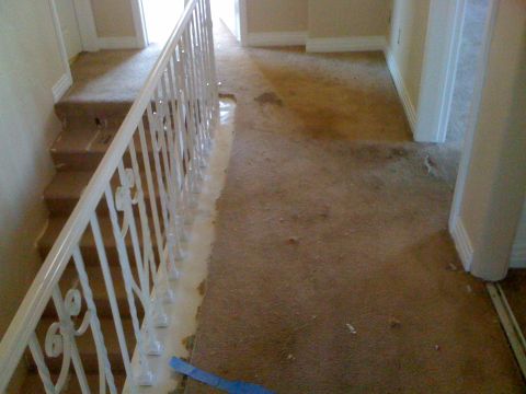 1968 Ford Mustang - A hallway inside a home shows damaged carpet near the stairs and a white railing.