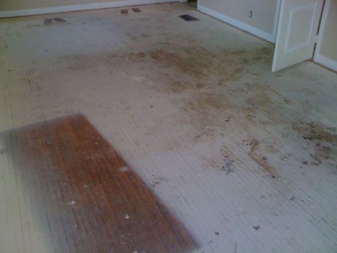 1968 Ford Mustang - The flooring in this room shows significant staining and wear, indicating a need for repair or refinishing.