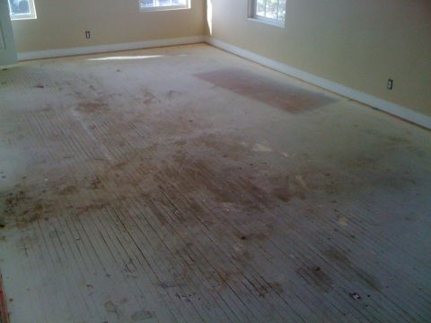 1968 Ford Mustang - The room's floor is bare wood with visible planks and dirt marks, suggesting it is under renovation.
