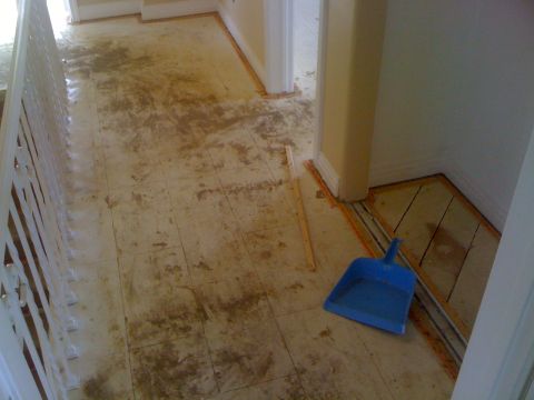 1968 Ford Mustang - A room appears to be undergoing renovation, with damaged flooring and a blue dustpan visible on the floor.