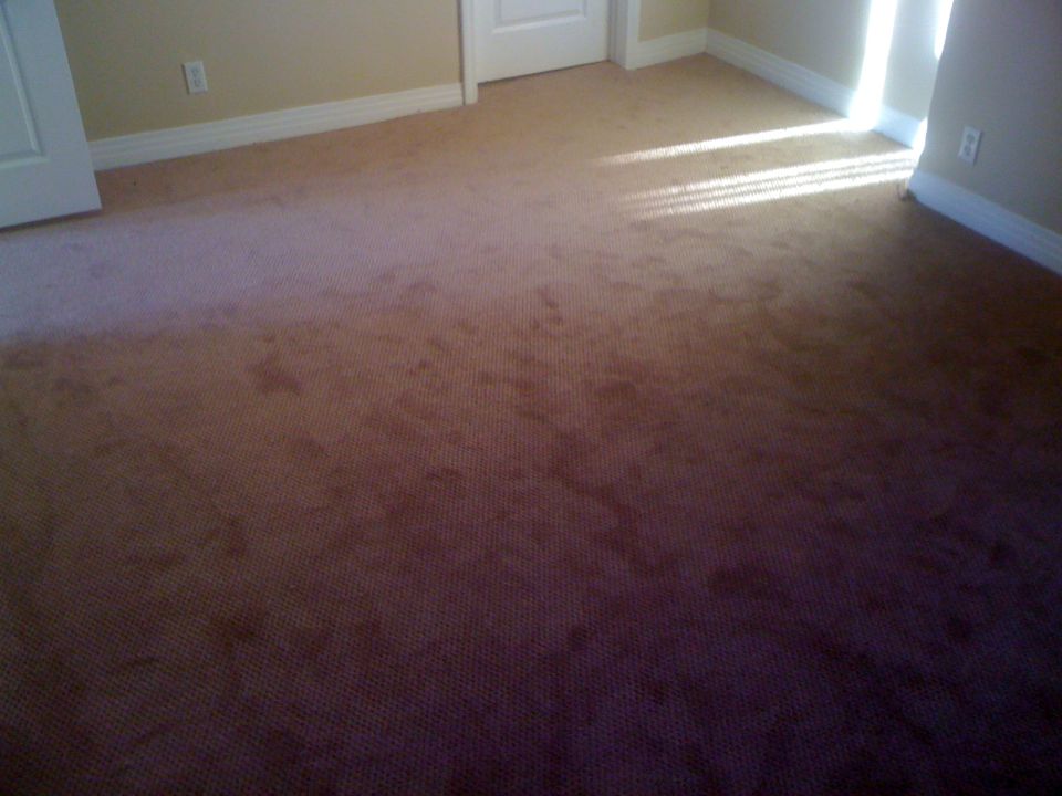 Empty carpeted room with white door trim, baseboards and beige walls
