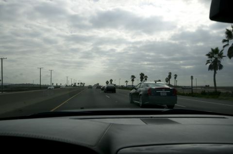 2006 Cadillac STS - Driving on a highway with palm trees lining the side under a cloudy sky.