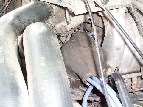 1992 Ford Bronco - Dust boot off of an 80's GT Mustang. Should help keep some water out of the distributor during water crossings.