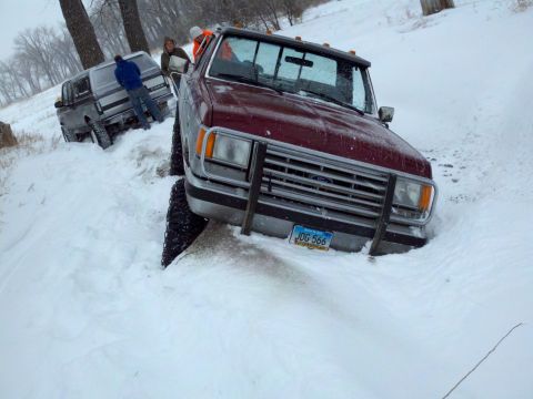 1988 Ford F-150 photo