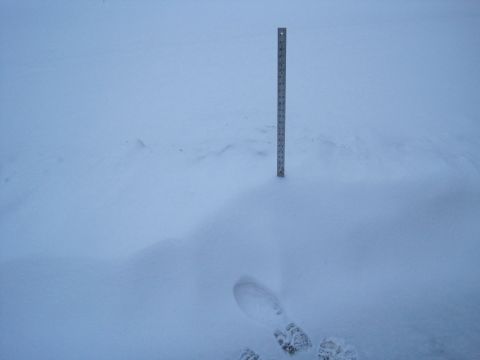 2004 Aston Martin Virage - A ruler stands vertically in deep snow, with footprints visible in the foreground, indicating a significant snowfall.
