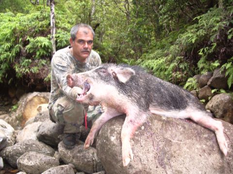 1991 Ford Bronco - A man in camouflage kneels on mossy boulders in a fern-lined jungle streambed behind a large black-and-pink feral hog draped over a rock. N…