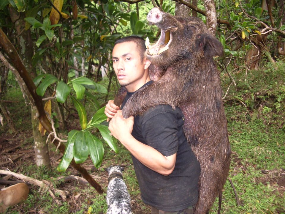 Kekoa Ferreira