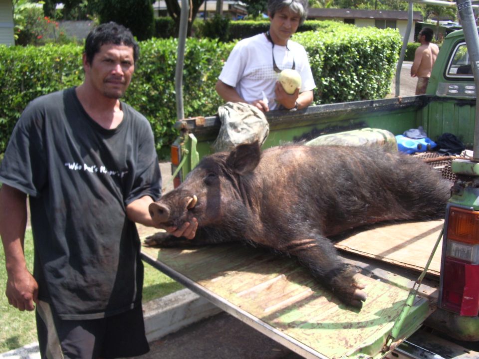 Richies cousin John K. and Dave Plunkett in background with a neighbor looking at Johns hog.