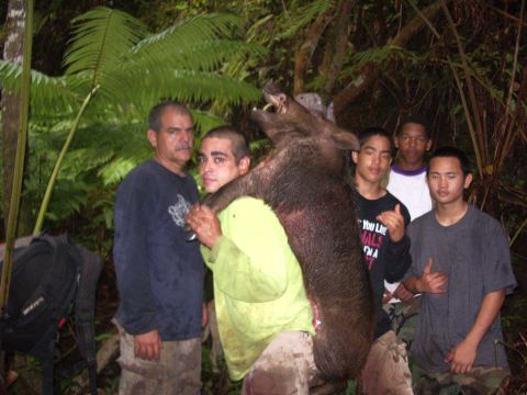 1991 Ford Bronco - Richie with Tony and hog, with 2 Leleihua Mules, Rivers and Daquan, and DJ.