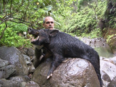 1991 Ford Bronco - Hunter poses with a wild boar in a rocky, wooded area with dogs nearby.