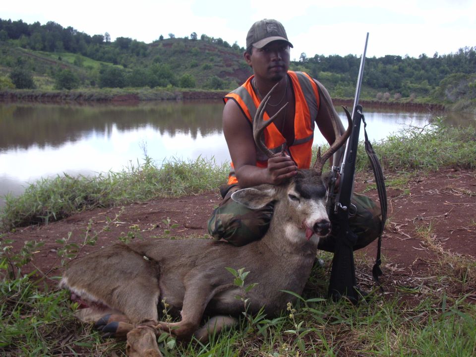 An extremely rare 9 point Kauai Blacktail buck taken by Richies friend to be IDd later.