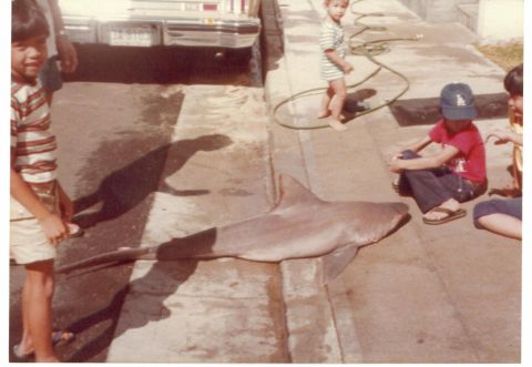 1991 Ford Bronco - Baby shark caught in Reubens net.