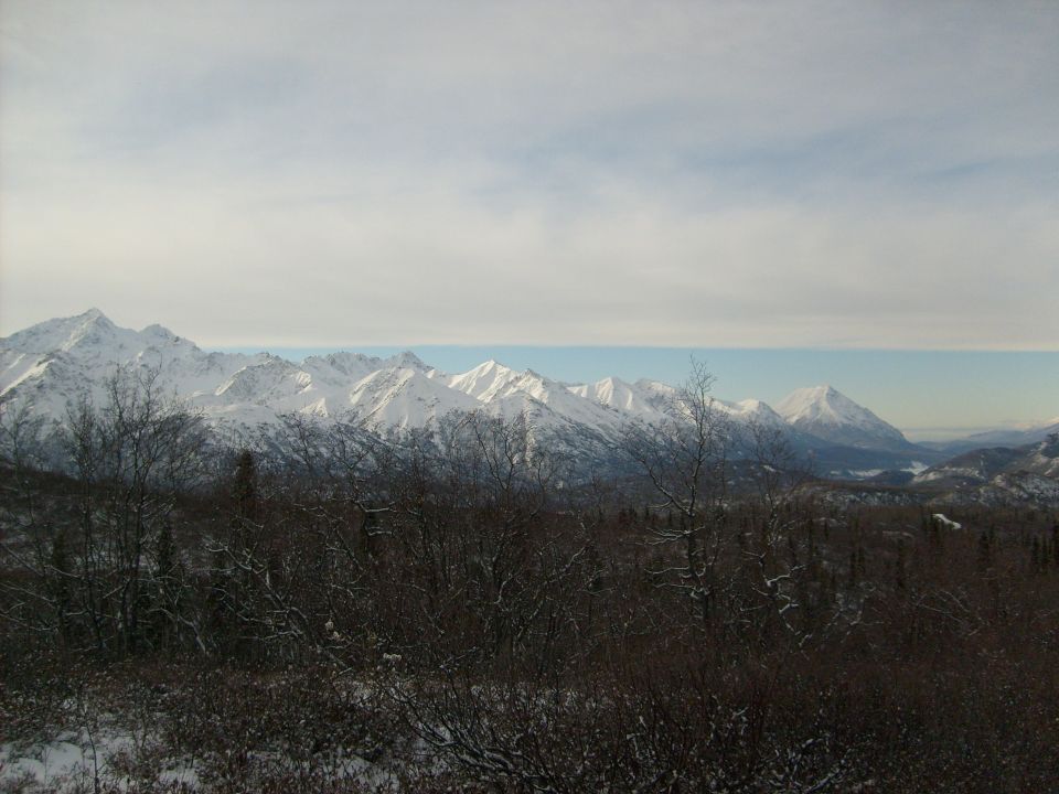 snowy mountains and trees under a cloudy sky, with a website watermark at the bottom right