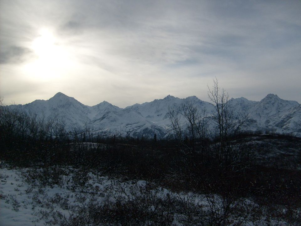 Snowy mountains under a cloudy sky with bare trees in the foreground