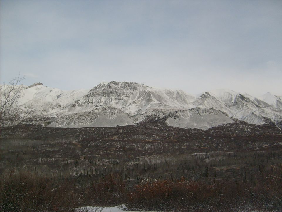 Snowy mountain range with dark trees in the foreground