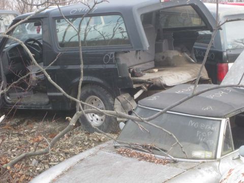 1983 Ford Bronco - This guy donated it' whole BUT for the 2009 - 2010 round of body work.