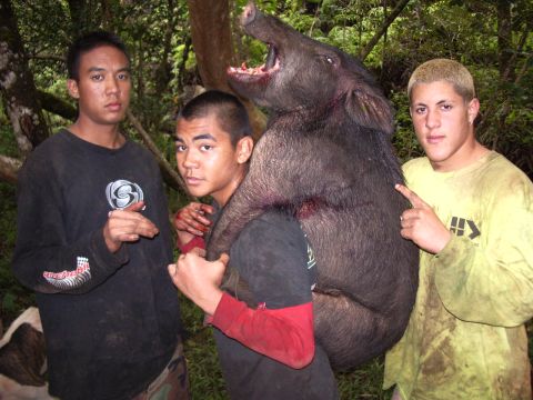 1991 Ford Bronco - Hunters pose with a large wild boar they have killed in a wooded area.