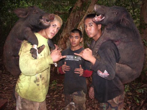 1991 Ford Bronco - Three young men pose with their wild boar kills in a wooded area.