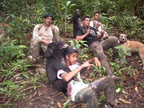 1991 Ford Bronco - Hunters pose with their wild pig trophies after a successful hunt in the jungle.