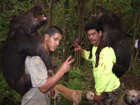 1991 Ford Bronco - Hunters proudly display their wild boar trophies after a successful hunt in the woods.
