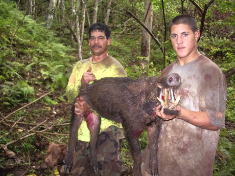 1991 Ford Bronco - Hunters pose with their wild boar kill in a wooded area, with a dog nearby.