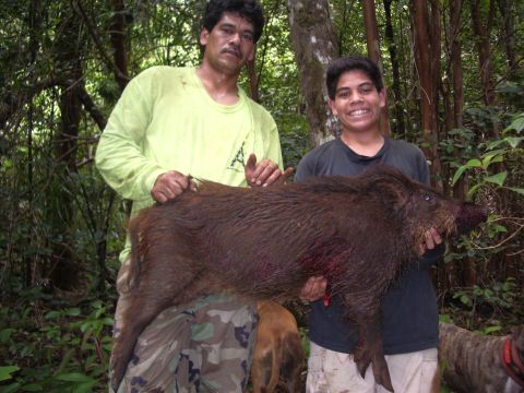 1991 Ford Bronco - A man in a yellow-green shirt and a smiling teen in a gray tee hold up a large brown wild boar between them in dense forest, with a tan hun…